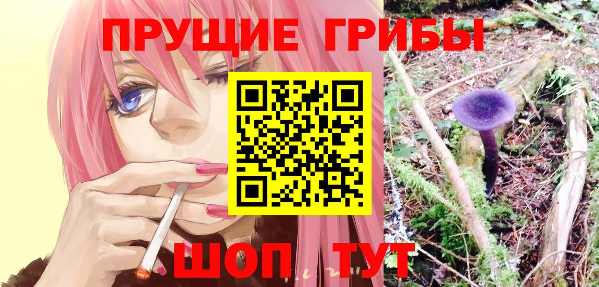 Галлюциногенные грибы ЛСД  Галлюциногенные грибы Cubensis  Тимашёвск  Вход с VPN 