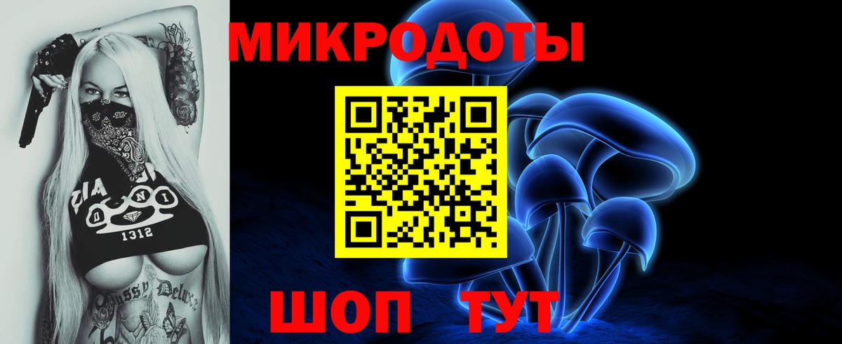 Псилоцибиновые грибы Psilocybe Тимашёвск